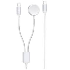 XSSIVE 2-in-1 USB-C iWatch Cable | Smarty