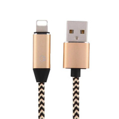 Câble USB Lightning 1 m avec adaptateur audio ECO
