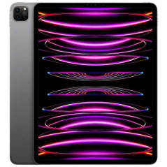 iPad Pro 12.9" (6e Génération) 128 Go Wifi Gris avec Boîte e