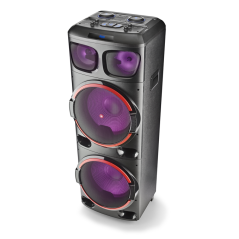 Enceinte Bluetooth NGS Wild Dub 3 1200 W | Smarty