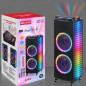 Bluetooth speaker ECO – dual 12-inch drivers 2000W Bluetooth speaker ECO – dual 12-inch drivers 2000W