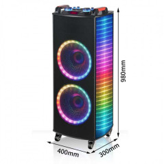 Enceinte karaoké Bluetooth 12 pouces 3000 W | Smarty