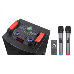 Enceinte karaoké Bluetooth 12 pouces 3000 W | Smarty