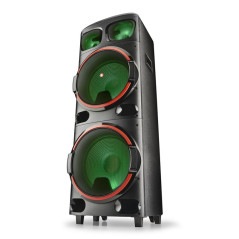 NGS Wild Dub Bluetooth Speaker 300 W | Smarty