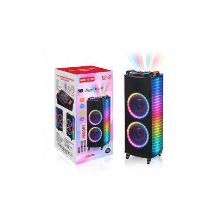 Enceinte Bluetooth Double Haut-parleur - 12 pouces 2000W - Audio Réf. G