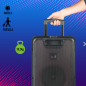 Bluetooth Speaker NGS Wild Rave 2 – 300W Black with Microphone Bluetooth Speaker NGS Wild Rave 2 – 300W Black with Microphone