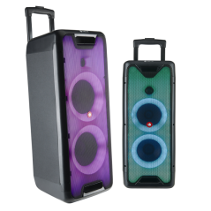 NGS Wild Rave 2 300W Black Speaker