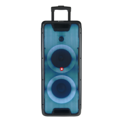 NGS Wild Rave 2 300W Black Speaker