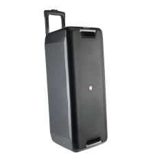 NGS Wild Rave 2 300W Black Speaker