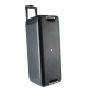 Bluetooth Speaker NGS Wild Rave 2 – 300W Black with Microphone Bluetooth Speaker NGS Wild Rave 2 – 300W Black with Microphone
