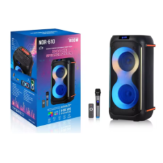 Enceinte Bluetooth NDR-610 avec Microphone - 2x6,5" - 800W - Noir - Au