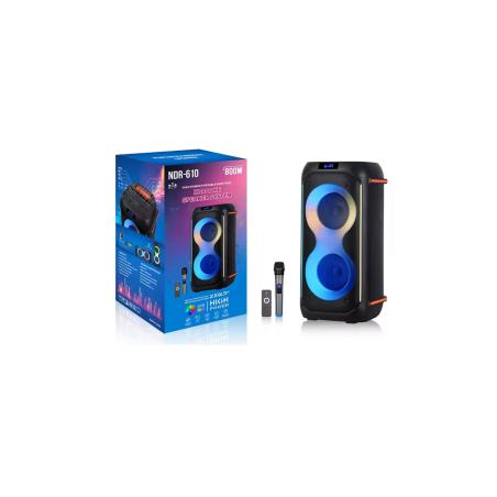 Enceinte Bluetooth NDR-610 avec Microphone - 2x6,5" - 800W - Noir - Au