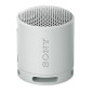 Sony Enceinte Bluetooth SRS-XB100 – Noir Sony Enceinte Bluetooth SRS-XB100 – Noir