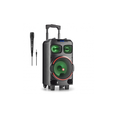 Enceinte Bluetooth NGS WILD DUB ZERO avec Microphone - 5" - 120W - Noi