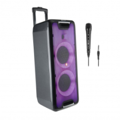 Enceinte Bluetooth NGS Wild Rave 2 avec microphone 300W - Noir - Audio