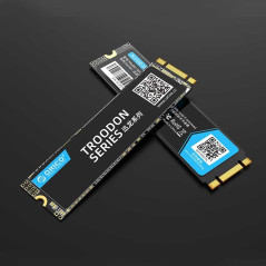 Orico N300 M.2 2280 SSD 128GB to 1TB | Smarty