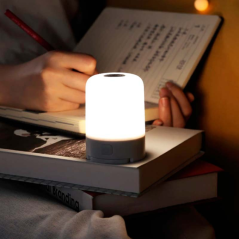NexTool Portable Lamp 600 lm 5000 mAh | Smarty