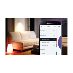 Ampoule connectée LIFX A21E27 Metal Gray