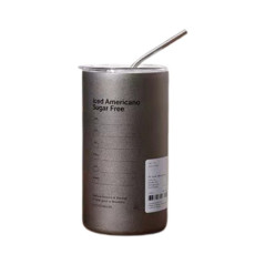 ECO 350ml Insulated Bottle with Steel Straw Gray | Smarty