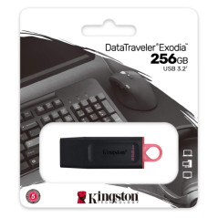 Clé USB Kingston DataTraveler Exodia 256 Go Noir/Rose