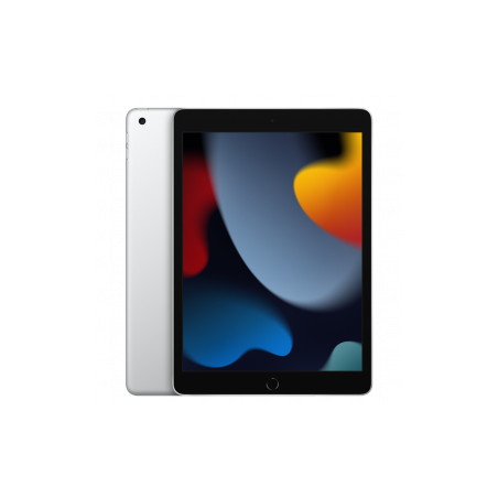 iPad 10.2" (9e Génération) 64 Go Wi-Fi Argent MK2L3LL/A - Neuf - SPEC