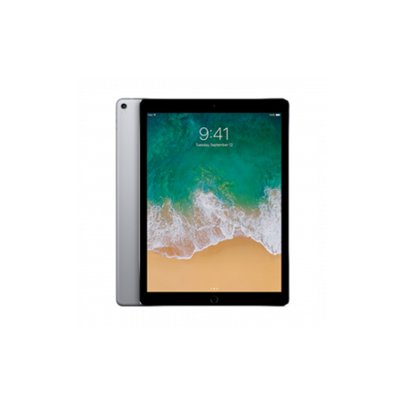 iPad Pro 12.9" (2e Génération) 64 Go Wi-Fi Gris - Grade D - Informatiq