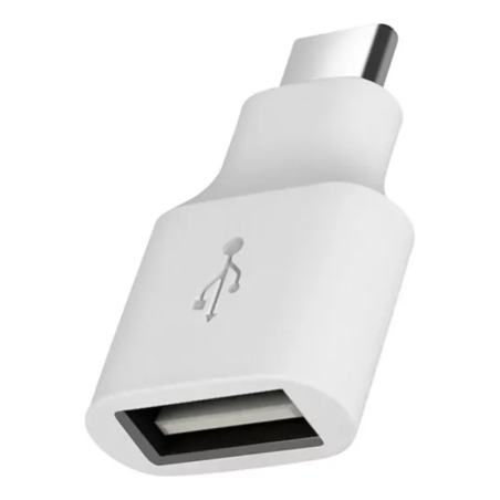 Google Adaptateur USB-C vers USB-A – Blanc