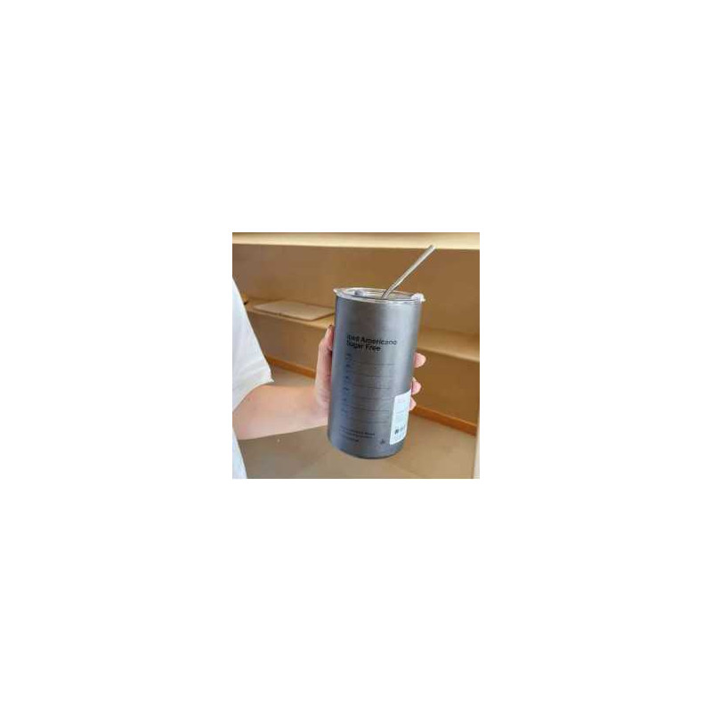 Bouteille d'eau en acier inoxydable isotherme avec paille en acier inoxydable 350ML - Gris