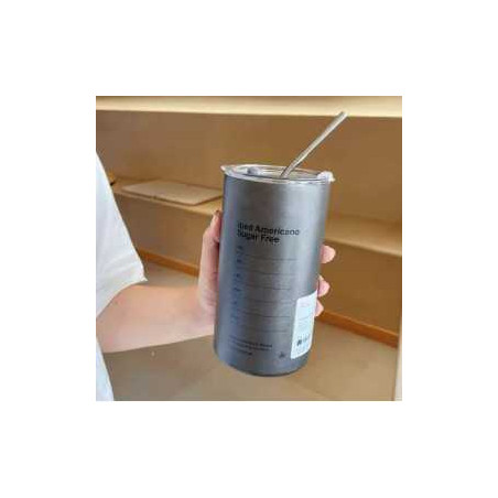 Bouteille d'eau en acier inoxydable isotherme avec paille en acier ino