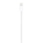 Apple Câble USB vers Lightning – 1 m Vrac Apple Câble USB vers Lightning – 1 m Vrac