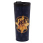 Bouteille d'eau Disney The Marvels – acier inoxydable 500 ml Bouteille d'eau Disney The Marvels – acier inoxydable 500 ml