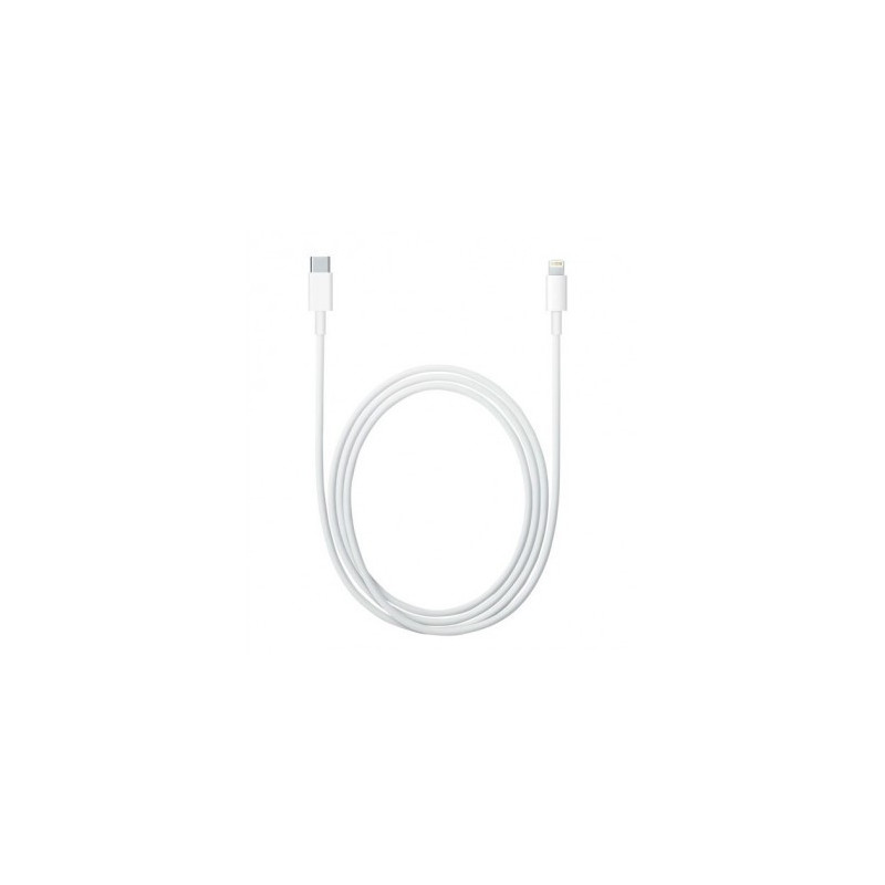 Apple Câble USB vers Lightning ME291ZM/A – 0,5 m, boîte d'origine Apple Câble USB vers Lightning ME291ZM/A – 0,5 m, boîte d'origine