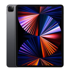 iPad Pro 12.9" (5e Génération) 256 Go Wi-Fi - Gris Sidéral -