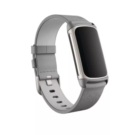 Bracelet pour Montre Fitbit charge 5/6 - Gris