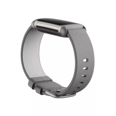 Bracelet pour Montre Fitbit charge 5/6 - Gris