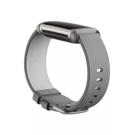 Bracelet pour Montre Fitbit charge 5/6 - Gris