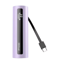 Power Bank 2600mAh avec câble Type-C - Elliet | Smarty Paris