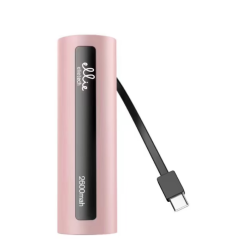 Power Bank 2600mAh avec câble Type-C - Elliet | Smarty Paris