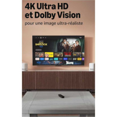 Amazon Fire TV Stick 4K Plus 8 Go Wi-Fi 6 | Smarty