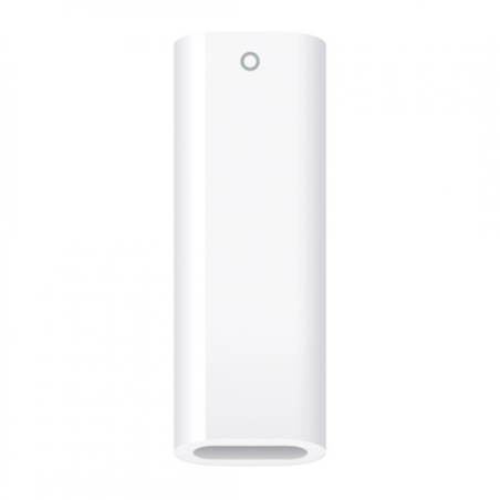 Adaptateur USB-C / Apple Pencil MWML3ZM/A - A | Smarty Paris