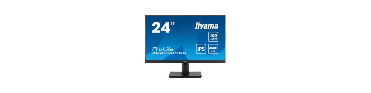 Multimedia / Computing / PC Monitor