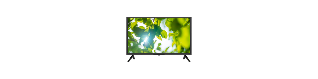 Multimedia / Home / TV-Video