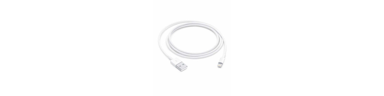 Accessories / Power / Cable & Adapter / USB / Lightning